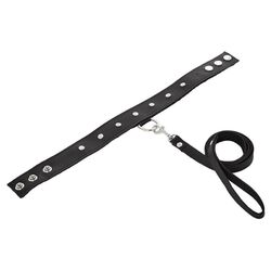 SportSheets Leather Leash And Collar