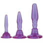 Wendy Williams Anal Trainer Butt Plug Kit